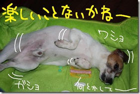 今日カズ０９０８２９　１９