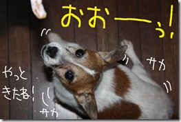 今日カズ０９０８２９　２１