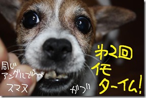 今日カズ０９０８２９　２２