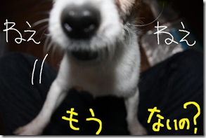 今日カズ０９０８２９　２４