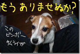 今日カズ０９０８２９　２５