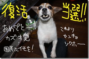 今日カズ０９０８２９　２９