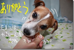 今日カズ０９０８３１　３