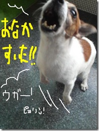 今日カズ０９０９０２　２