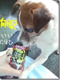 今日カズ０９０９０２　３