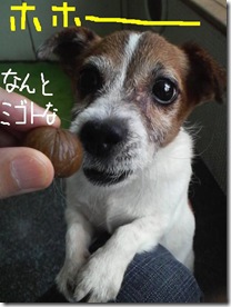 今日カズ０９０９０２　４