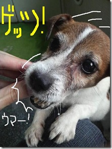 今日カズ０９０９０２　６