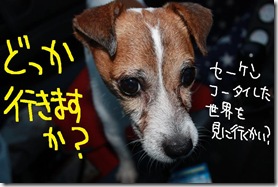 今日カズ０９０９０２　１