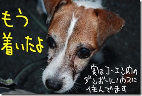 今日カズ０９０９０２　２