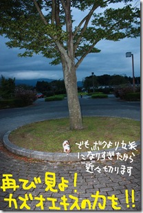 今日カズ０９０９０２　６