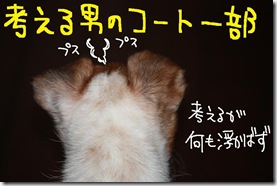 今日カズ０９０９０３　５