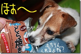 今日カズ０９０９０４　２