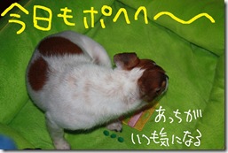 今日カズ０９０９０５　１