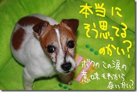 今日カズ０９０９０５　２