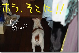 今日カズ０９０９０５　４