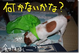 今日カズ０９０９０６　２