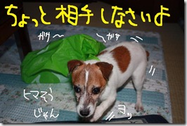 今日カズ０９０９０６　３