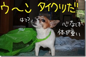 今日カズ０９０９０６　５