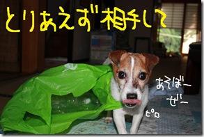 今日カズ０９０９０６　６