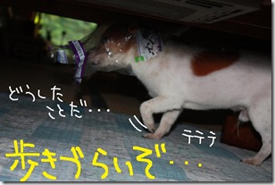 今日カズ０９０９０６　７