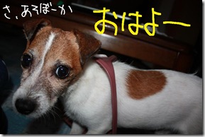 今日カズ０９０９０６　８