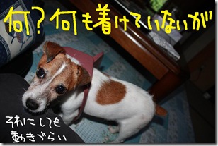 今日カズ０９０９０６　９
