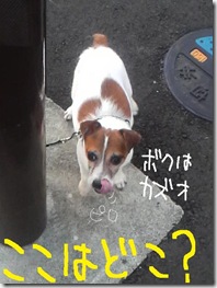 今日カズ０９０９０７　１