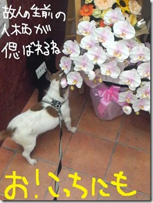 今日カズ０９０９０７　５