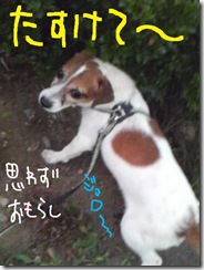 今日カズ０９０９０７　７