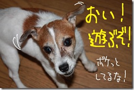 今日カズ０９０９０８　１