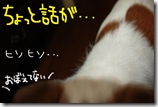 今日カズ０９０９０８　７