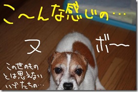 今日カズ０９０９０９　４
