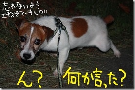 今日カズ０９０９１０　３
