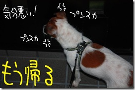 今日カズ０９０９１０　５