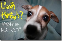 今日カズ０９０９１１　１