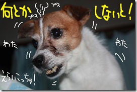 今日カズ０９０９１１　４