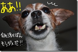 今日カズ０９０９１１　５