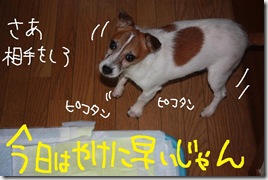 今日カズ０９０９１２　１