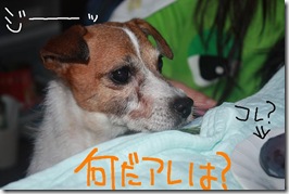 今日カズ０９０９１２　３
