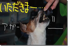 今日カズ０９０９１２　４