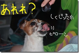 今日カズ０９０９１２　５
