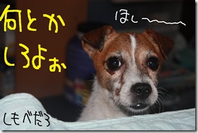 今日カズ０９０９１２　６