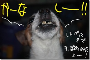 今日カズ０９０９１２　７