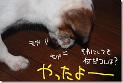 今日カズ０９０９１２　８