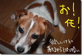 今日カズ０９０９１３　２