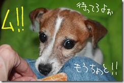 今日カズ０９０９１３　５