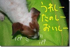 今日カズ０９０９１３　７