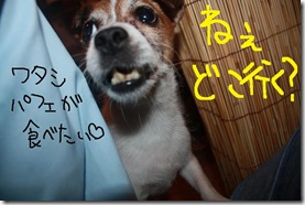 今日カズ０９０９１４　２