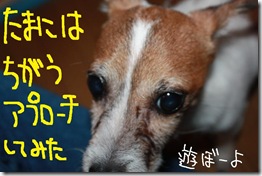 今日カズ０９０９１４　３