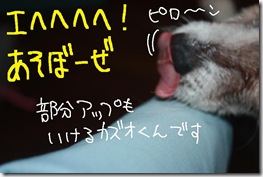 今日カズ０９０９１５　１